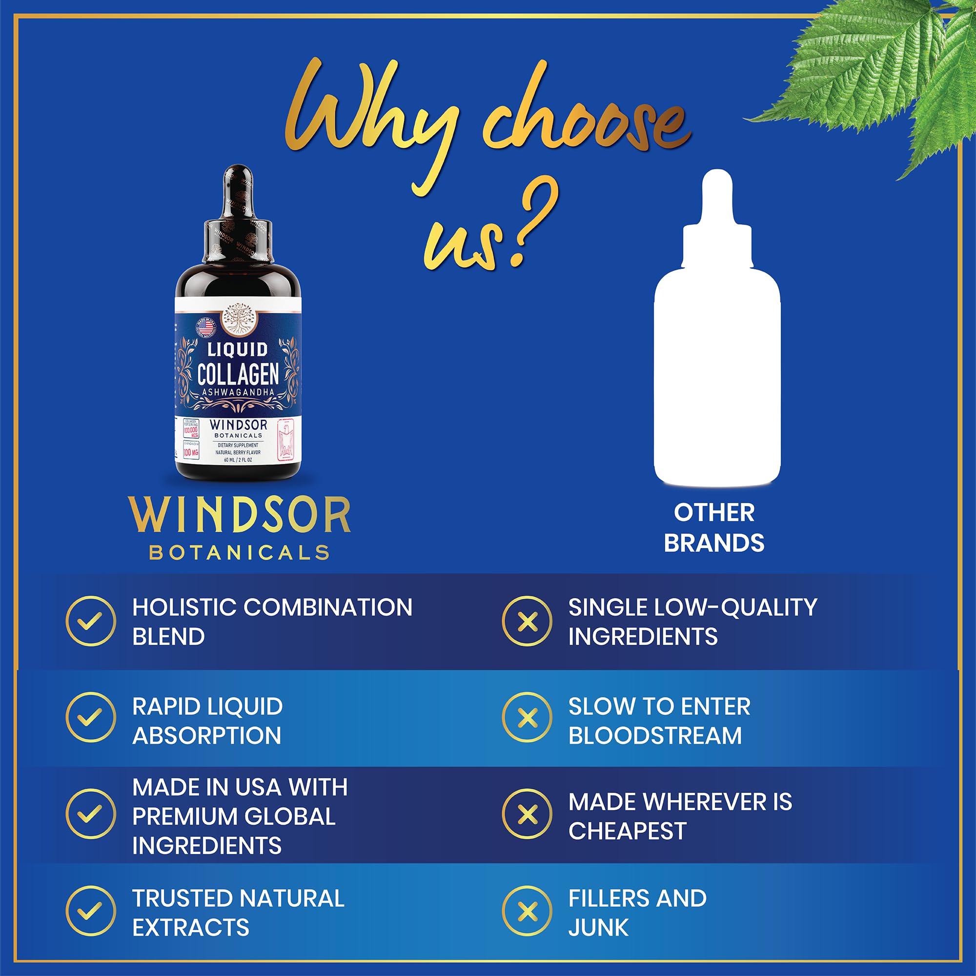 Foto 7 pulgar | Suplemento De Colágeno Líquido Windsor Botanicals, 100 Ml, 60 Porciones - Venta Internacional.