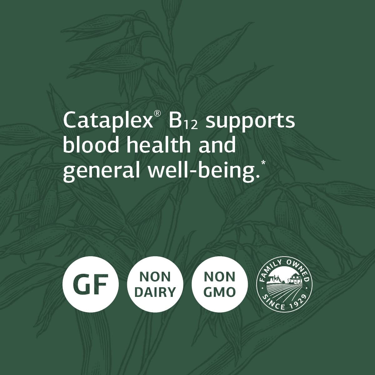 Foto 5 pulgar | Suplemento Standard Process Cataplex B12 90 Comprimidos - Venta Internacional.