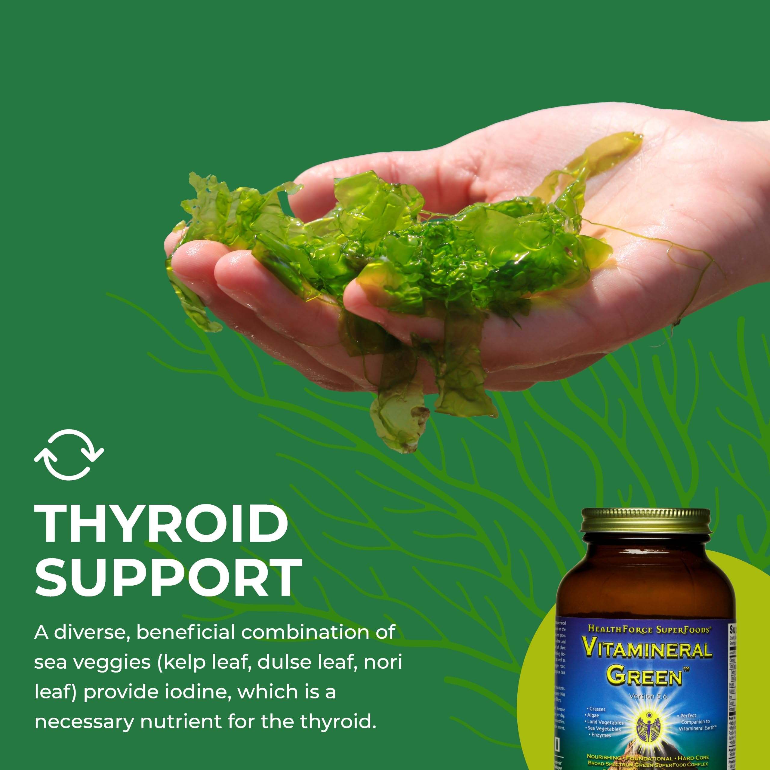 Foto 7 pulgar | Suplemento Mineral Healthforce Superfoods Vitamineral Green 150 G - Venta Internacional.