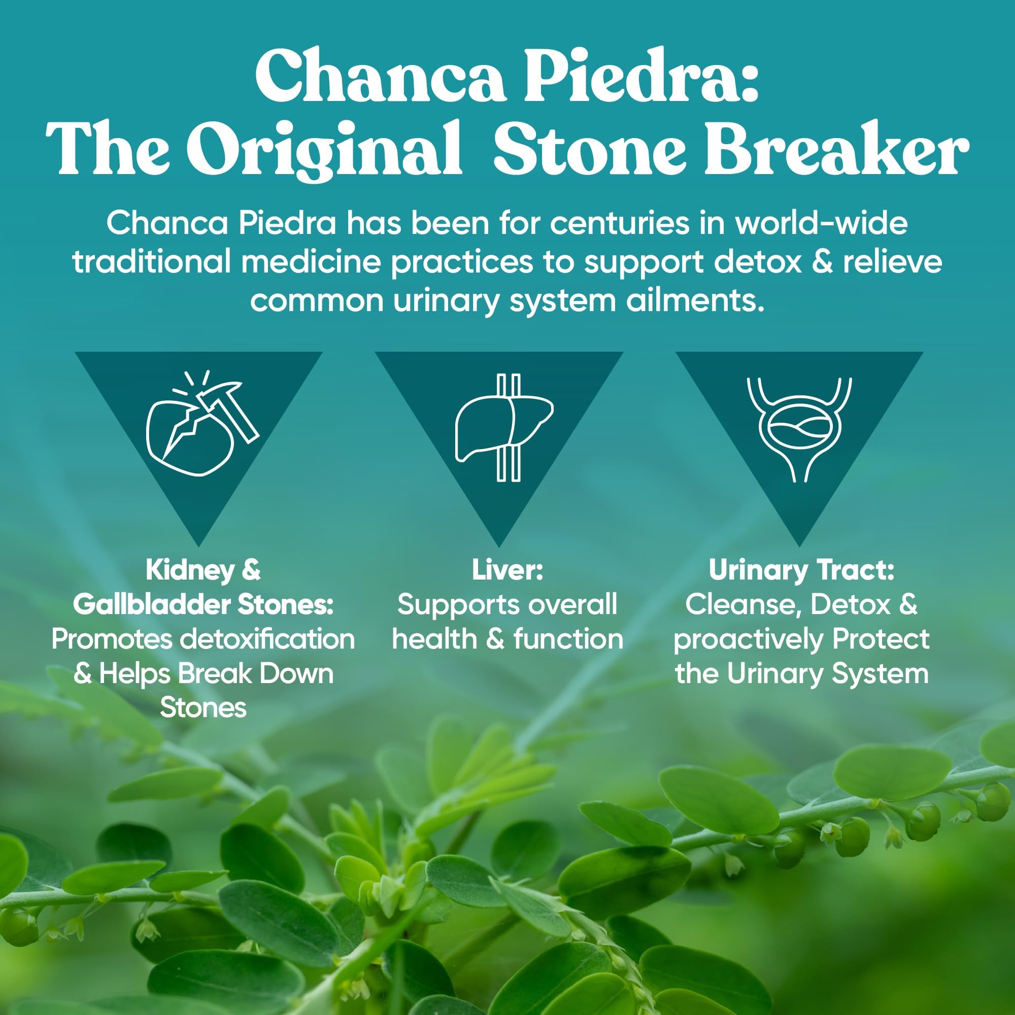 Foto 5 | Suplemento Eu Natural Stone Breaker 60 Cápsulas Veganas - Venta Internacional.