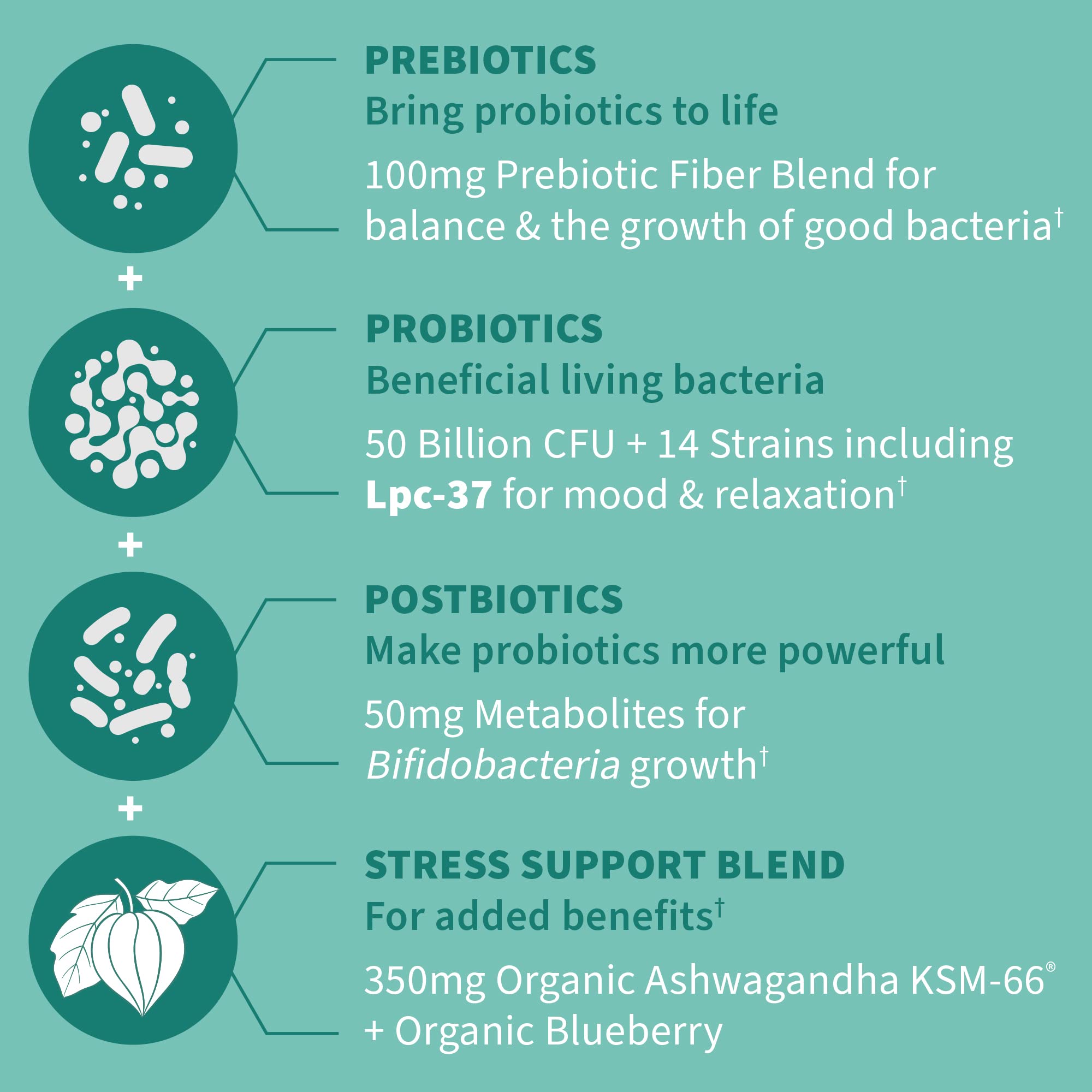 Foto 4 | Suplemento De Probióticos Calmantes 3 En 1 Formulados Por El Dr. Garden Of Life - Venta Internacional.