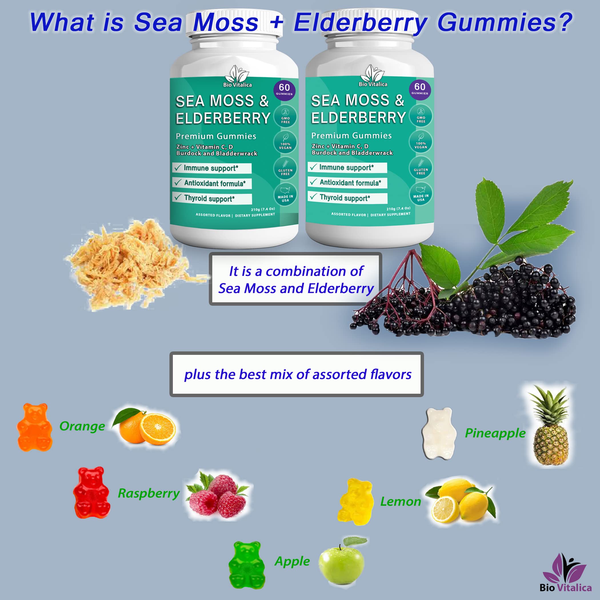 Foto 7 | Paquete De 2 Gomitas Sea Moss Biovitalica Con Saúco, Veganas - Venta Internacional.
