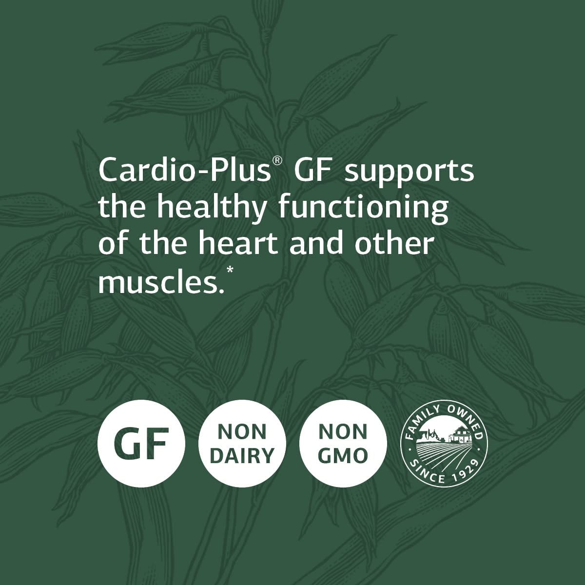Foto 4 | Suplemento Standard Process Cardio-plus Gf 330 Comprimidos - Venta Internacional.