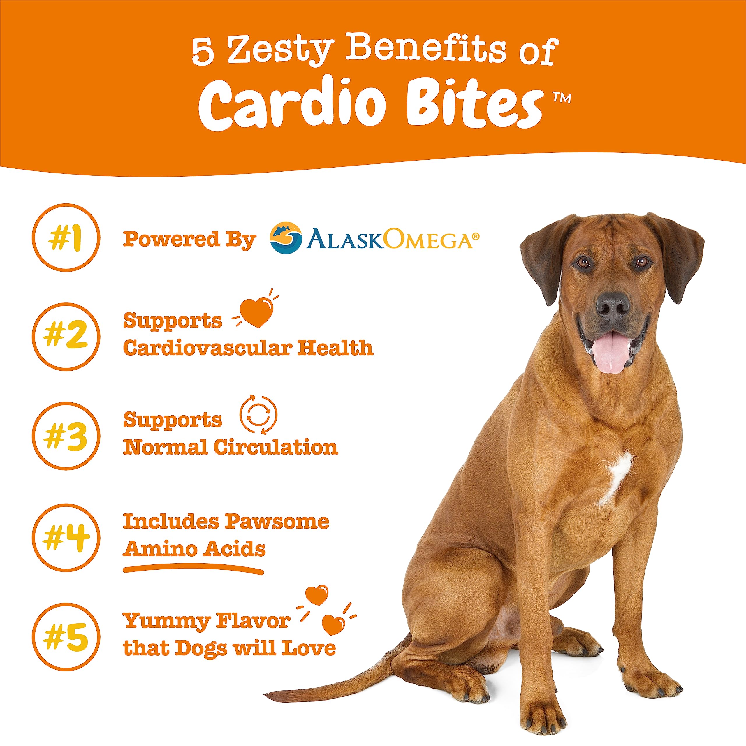 Foto 3 pulgar | Suplemento De Apoyo Cardiovascular Zesty Paws Para Perros Mayores - Venta Internacional.