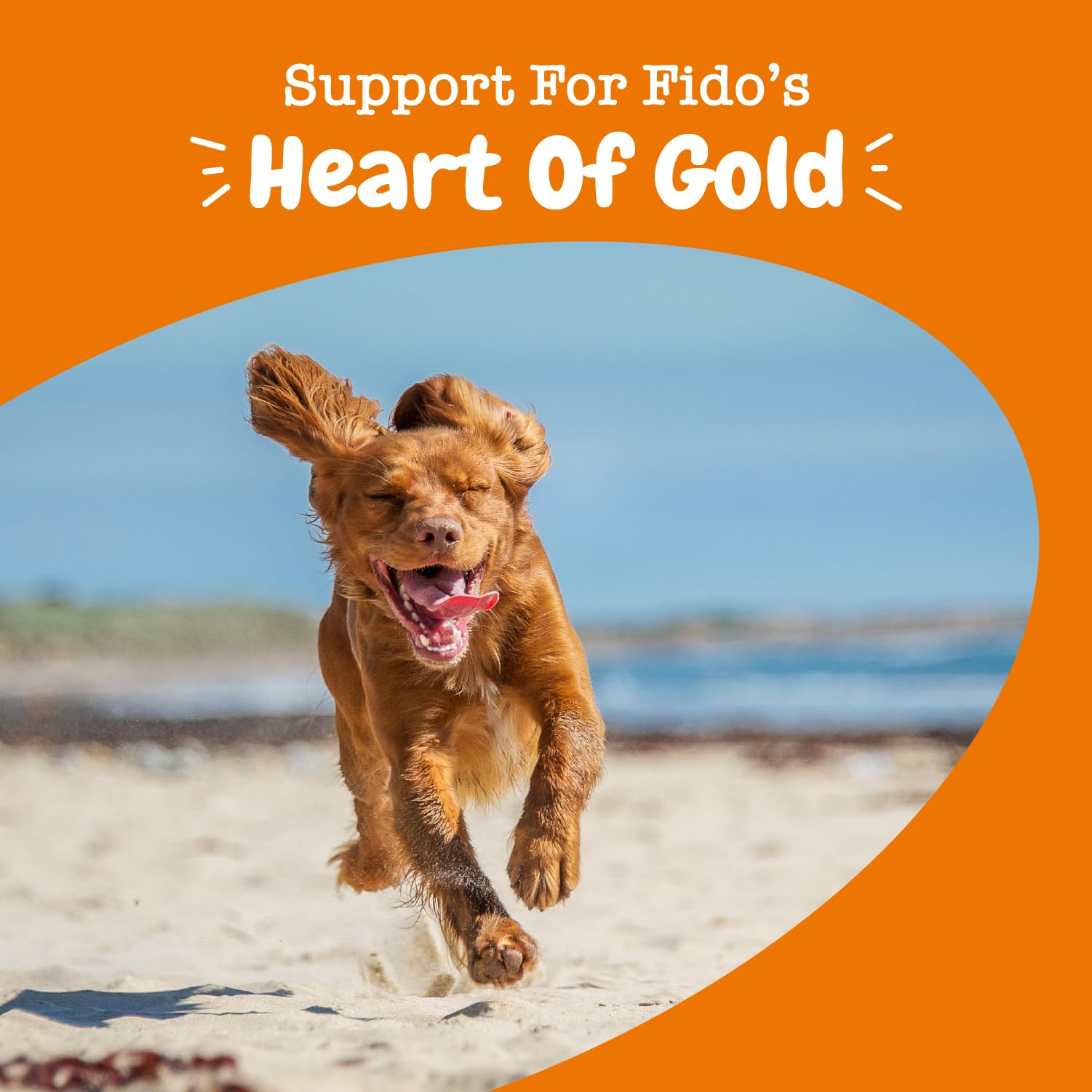 Foto 7 | Suplemento De Apoyo Cardiovascular Zesty Paws Para Perros Mayores - Venta Internacional.