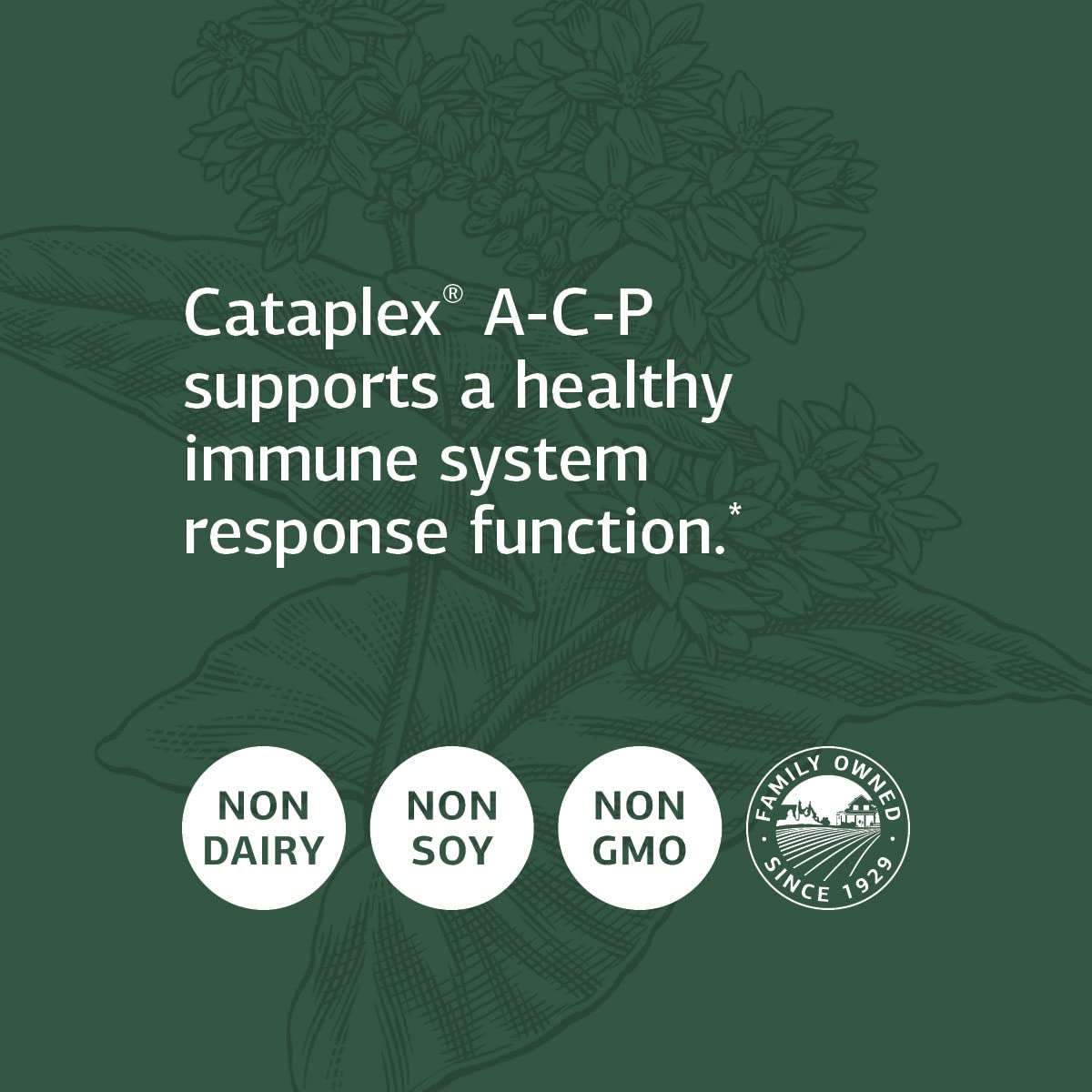 Foto 5 pulgar | Complemente Standard Process Cataplex A-c-p Heart Health - Venta Internacional.