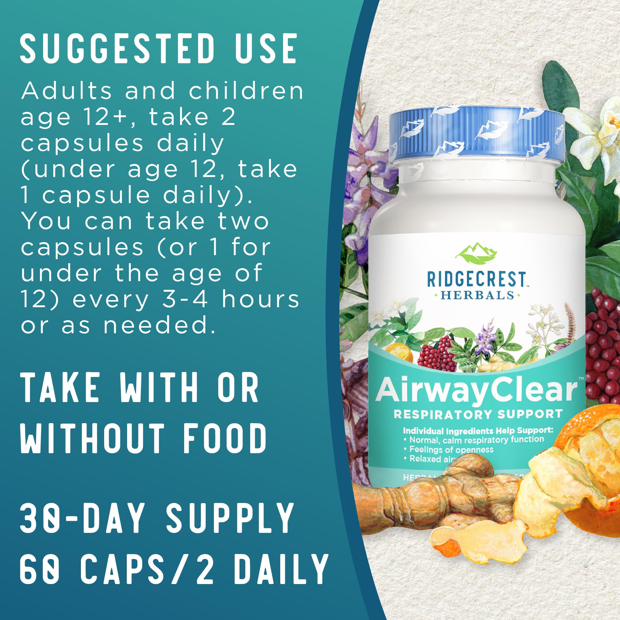 Foto 4 pulgar | Suplementos Ridgecrest Herbals Airwayclear Lung Health 60 Cápsulas - Venta Internacional.