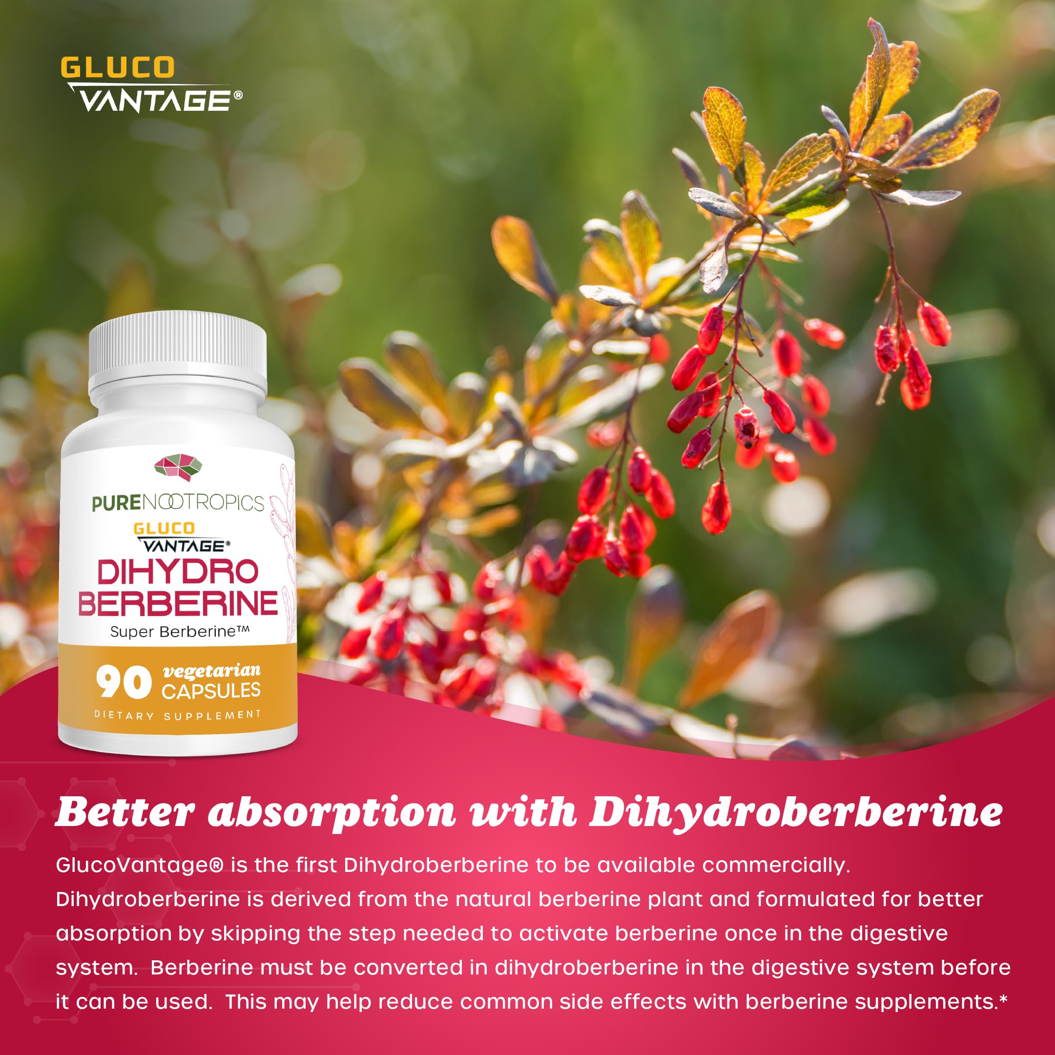 Foto 5 pulgar | Suplemento de Dihidroberberberina Pura de Nootrópicos 100 Mg 90 Cápsulas - Venta Internacional