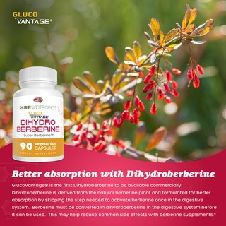 Foto 4 | Suplemento de Dihidroberberberina Pura de Nootrópicos 100 Mg 90 Cápsulas - Venta Internacional