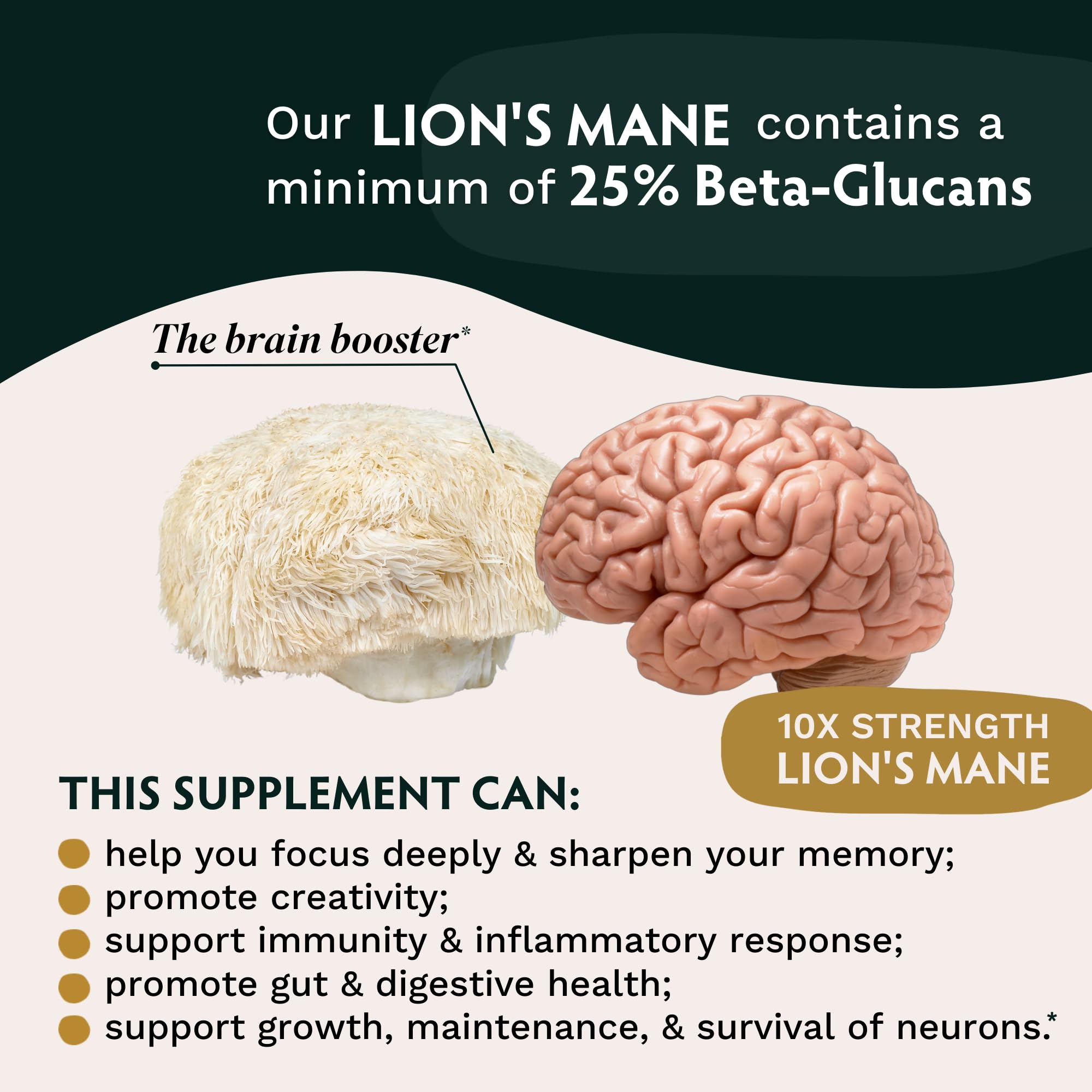 Foto 5 pulgar | Suplemento Tribe Organics Lion's Mane 1800 Mg 120 Cápsulas Veganas - Venta Internacional.