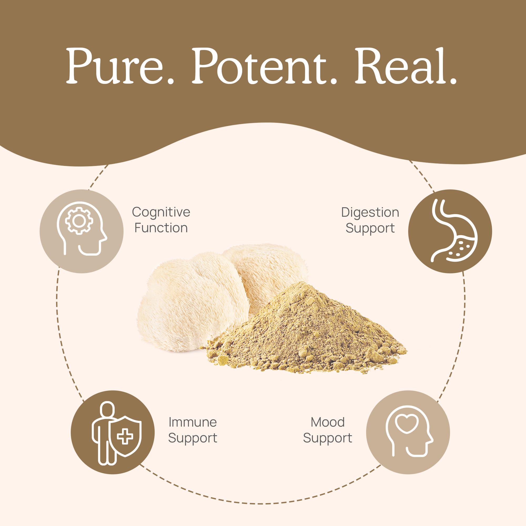 Foto 4 | Suplemento Real Mushrooms Lion's Mane 300 Cápsulas Vegano - Venta Internacional.