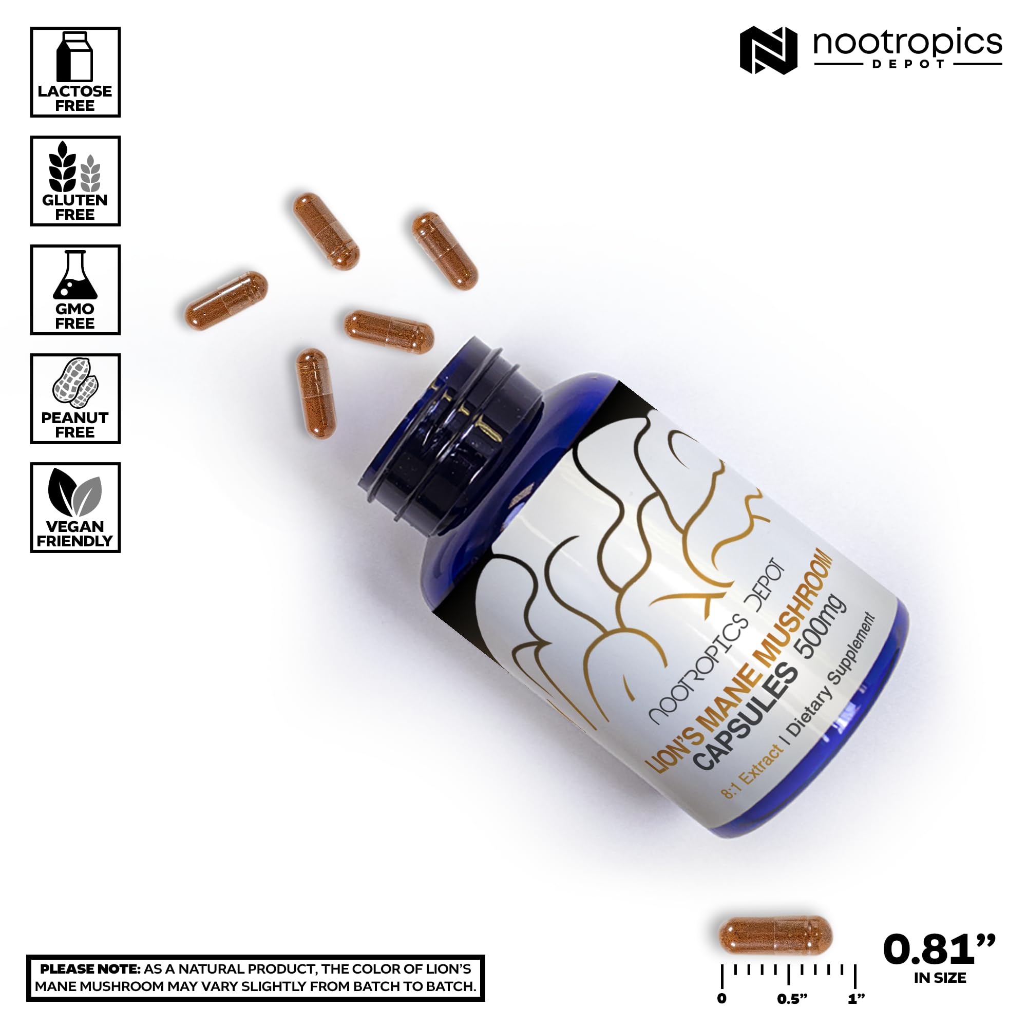 Foto 4 pulgar | Suplemento Nootropics Depot Lions Mane Mushroom 500 Mg 60 Cápsulas - Venta Internacional.