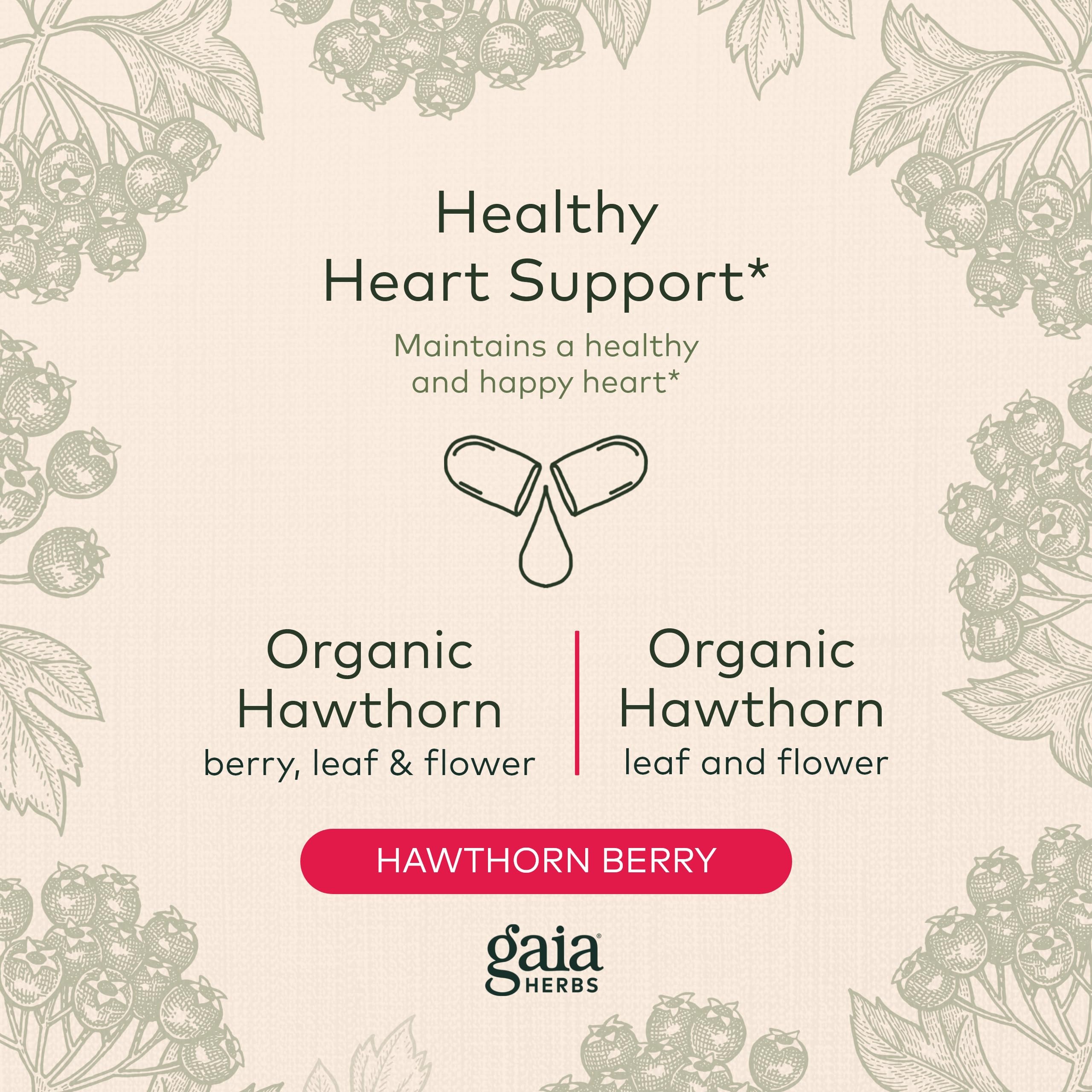 Foto 4 pulgar | Suplemento Gaia Herbs Hawthorn Supreme Heart Health 60 Cápsulas - Venta Internacional.