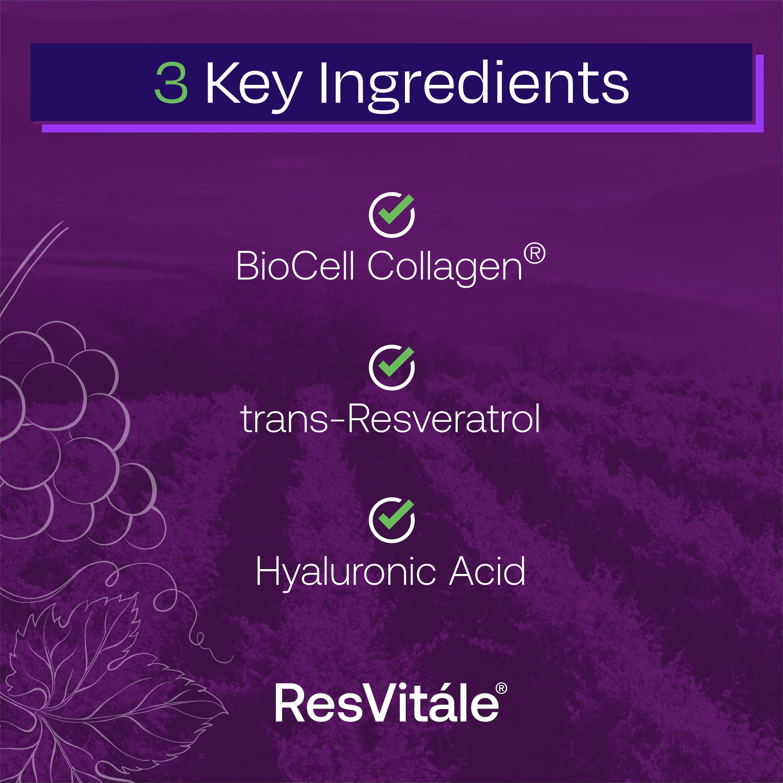 Foto 4 pulgar | Suplemento Resvitále Collagen Enhance Con Ácido Hialurónico 120 Cápsulas - Venta Internacional.