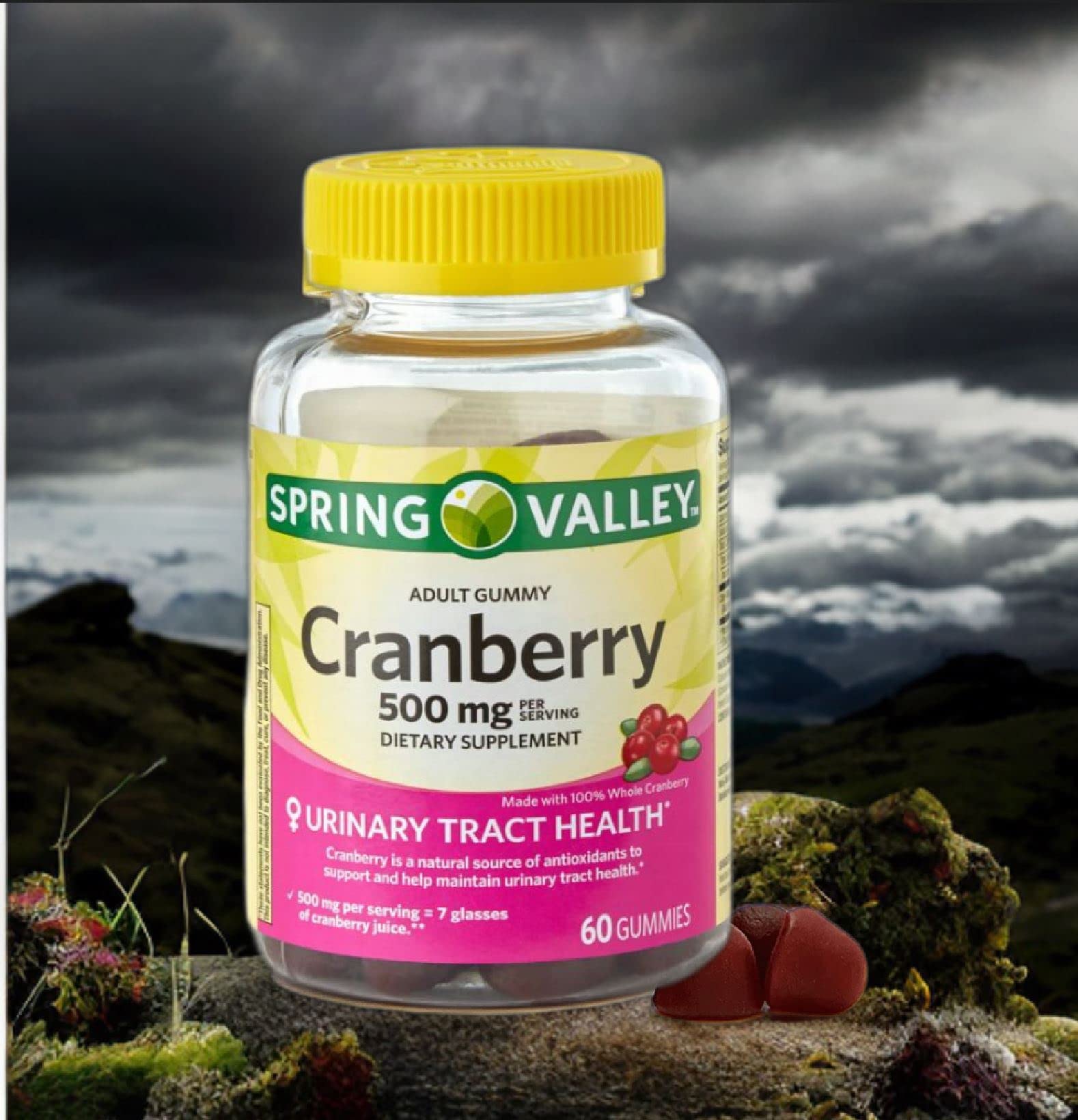 Foto 7 pulgar | Suplemento Dietético Adventure Home Spring Valley Cranberry 500 Mg - Venta Internacional.