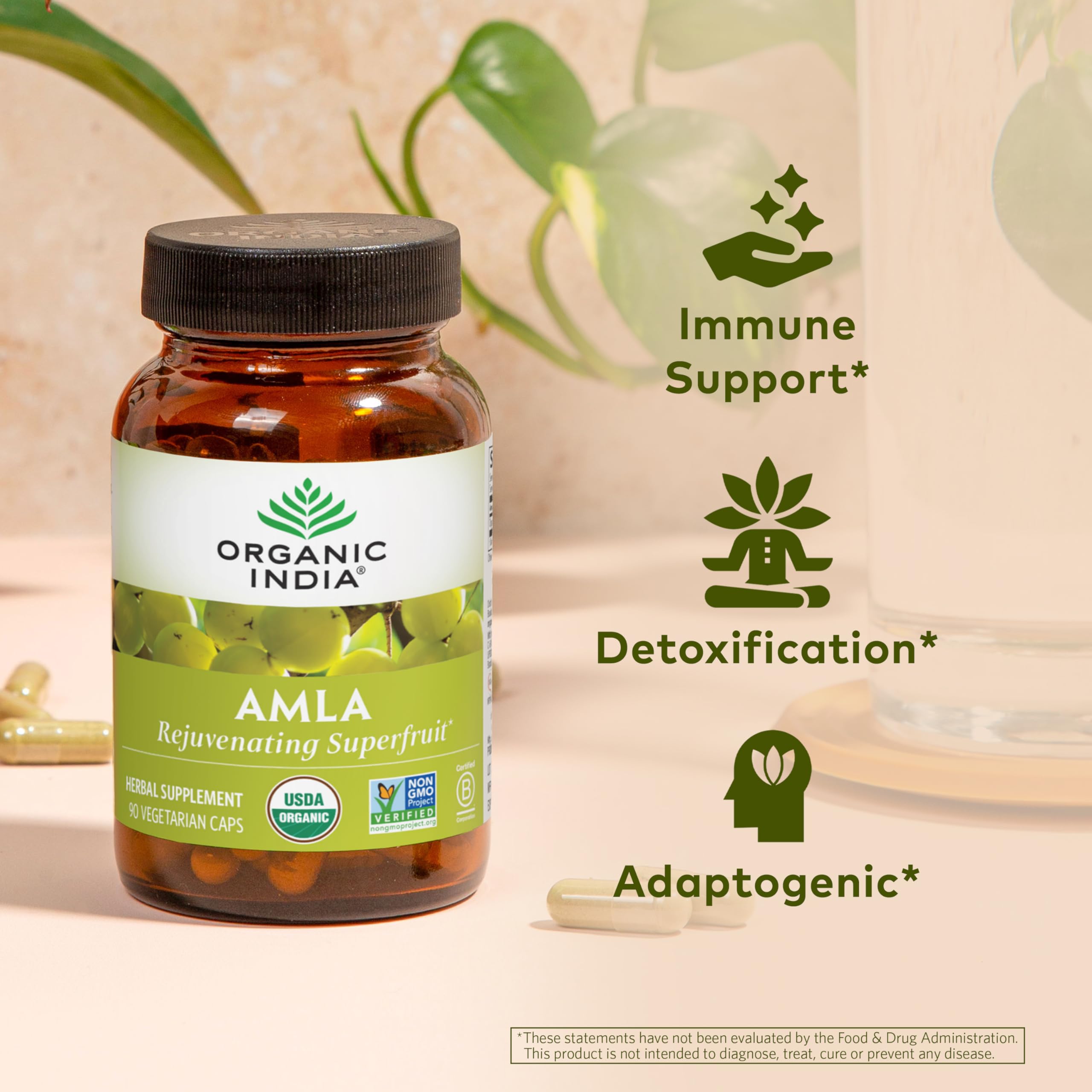 Foto 3 pulgar | Suplemento Organic India Amla Capsules Organic 90 Cápsulas - Venta Internacional.