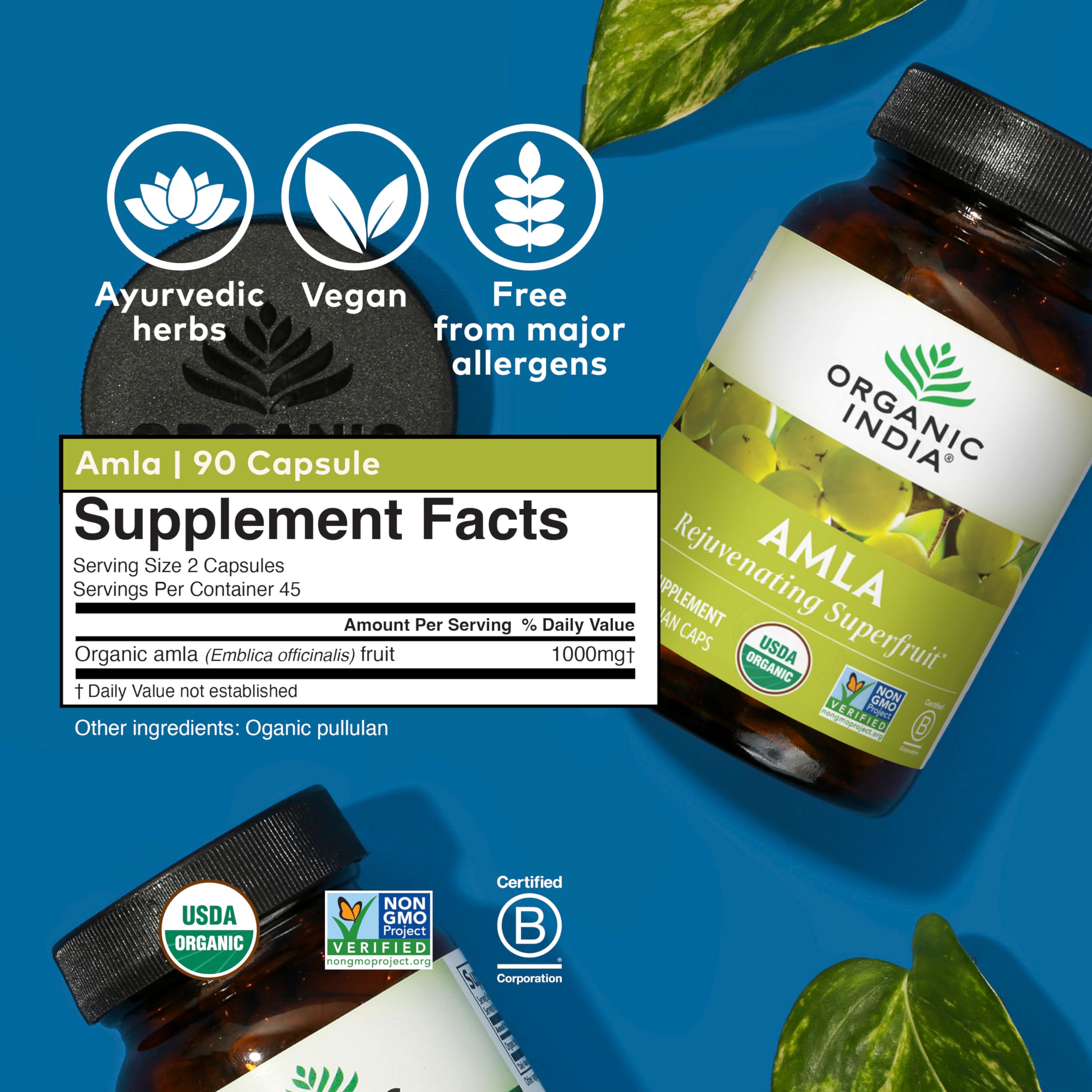 Foto 6 pulgar | Suplemento Organic India Amla Capsules Organic 90 Cápsulas - Venta Internacional.
