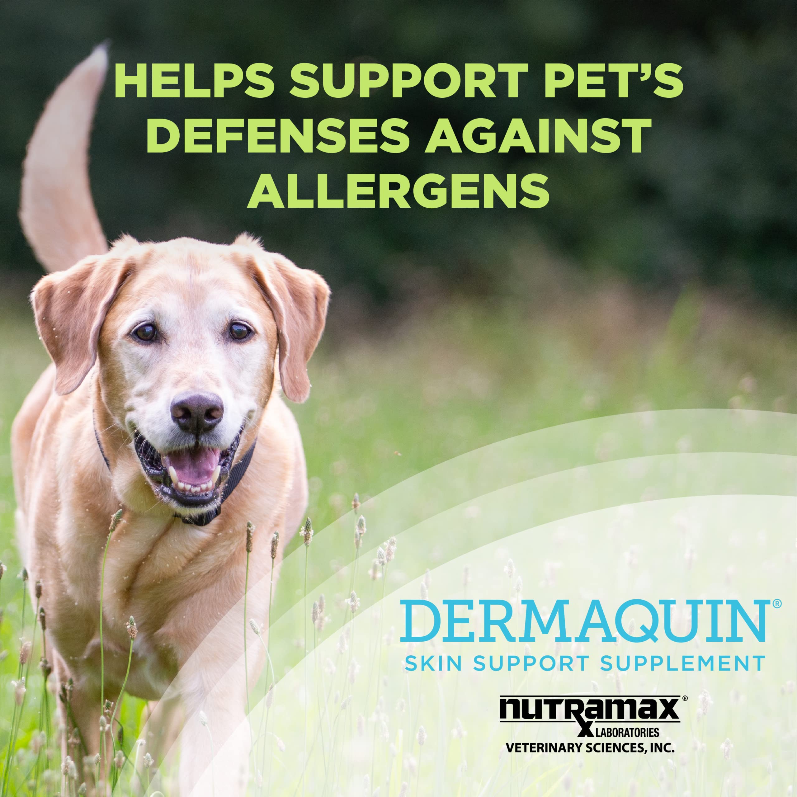Foto 3 pulgar | Suplemento Nutramax Dermaquin Skin Support Para Perros De Más De 14 Kg - Venta Internacional.