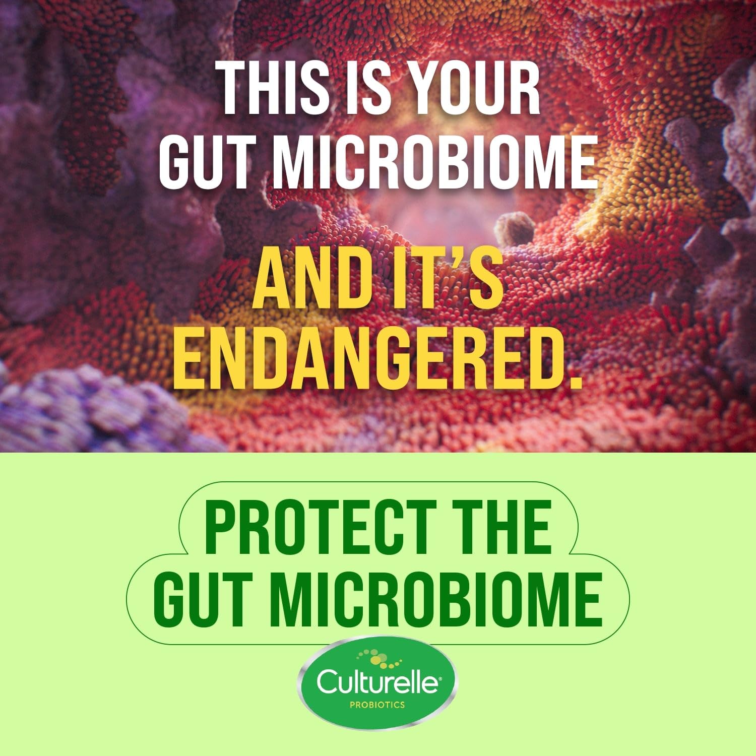 Foto 6 | Probiotic Chewables Culturelle Digestive Health, 24 Unidades - Venta Internacional.