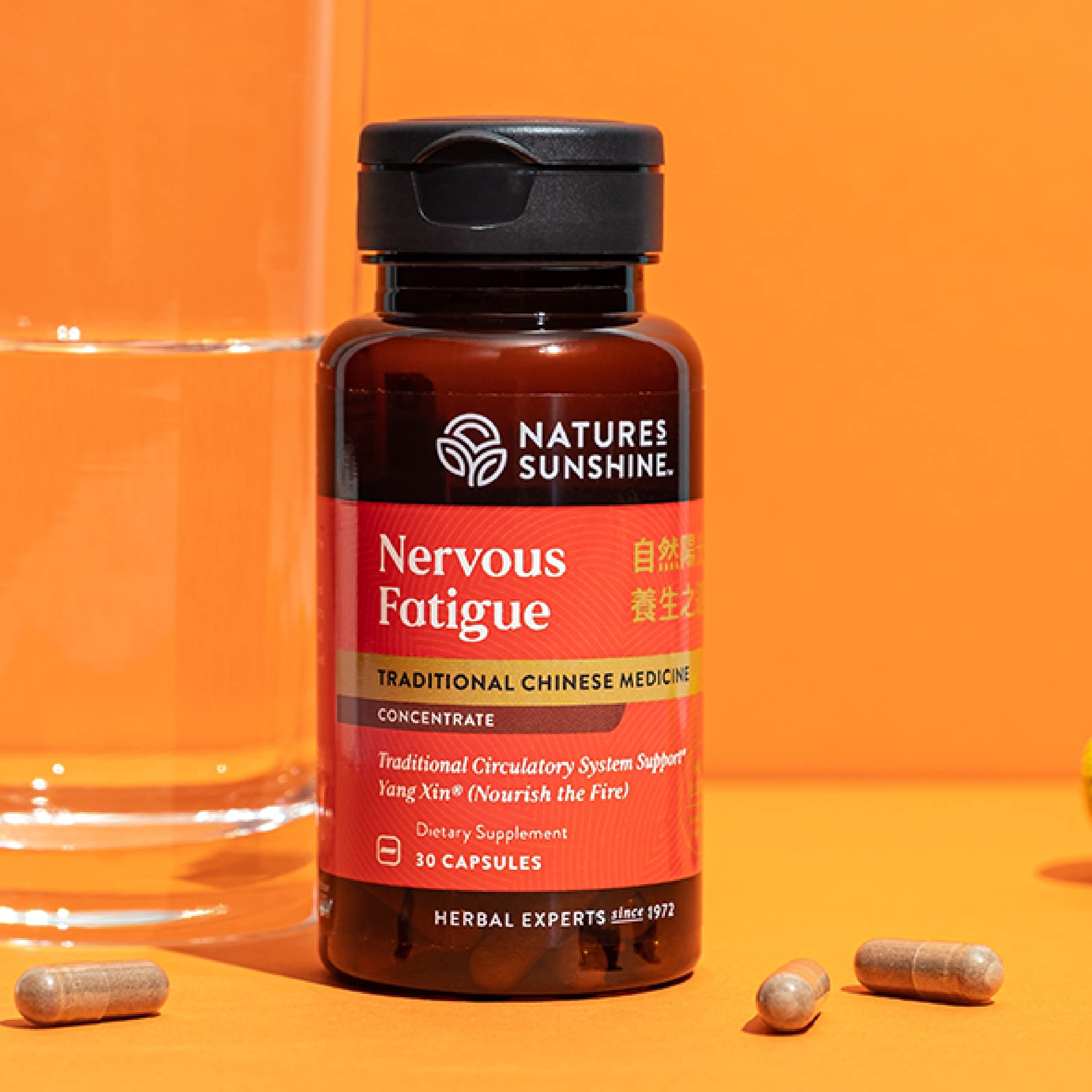 Foto 2 | Suplemento Nature's Sunshine Nervious Fatigue Tcm 30 Cápsulas - Venta Internacional.