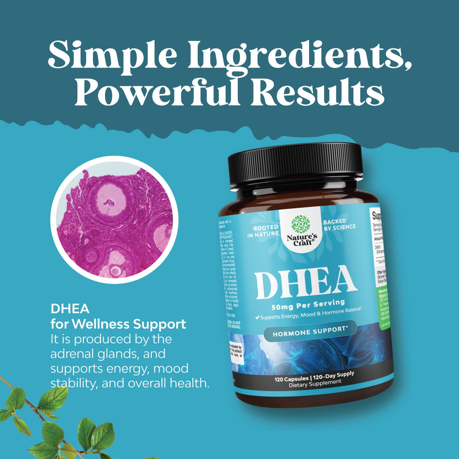 Foto 4 | Suplemento Natures Craft Dhea 50 Mg Para Hombres Y Mujeres - Venta Internacional.