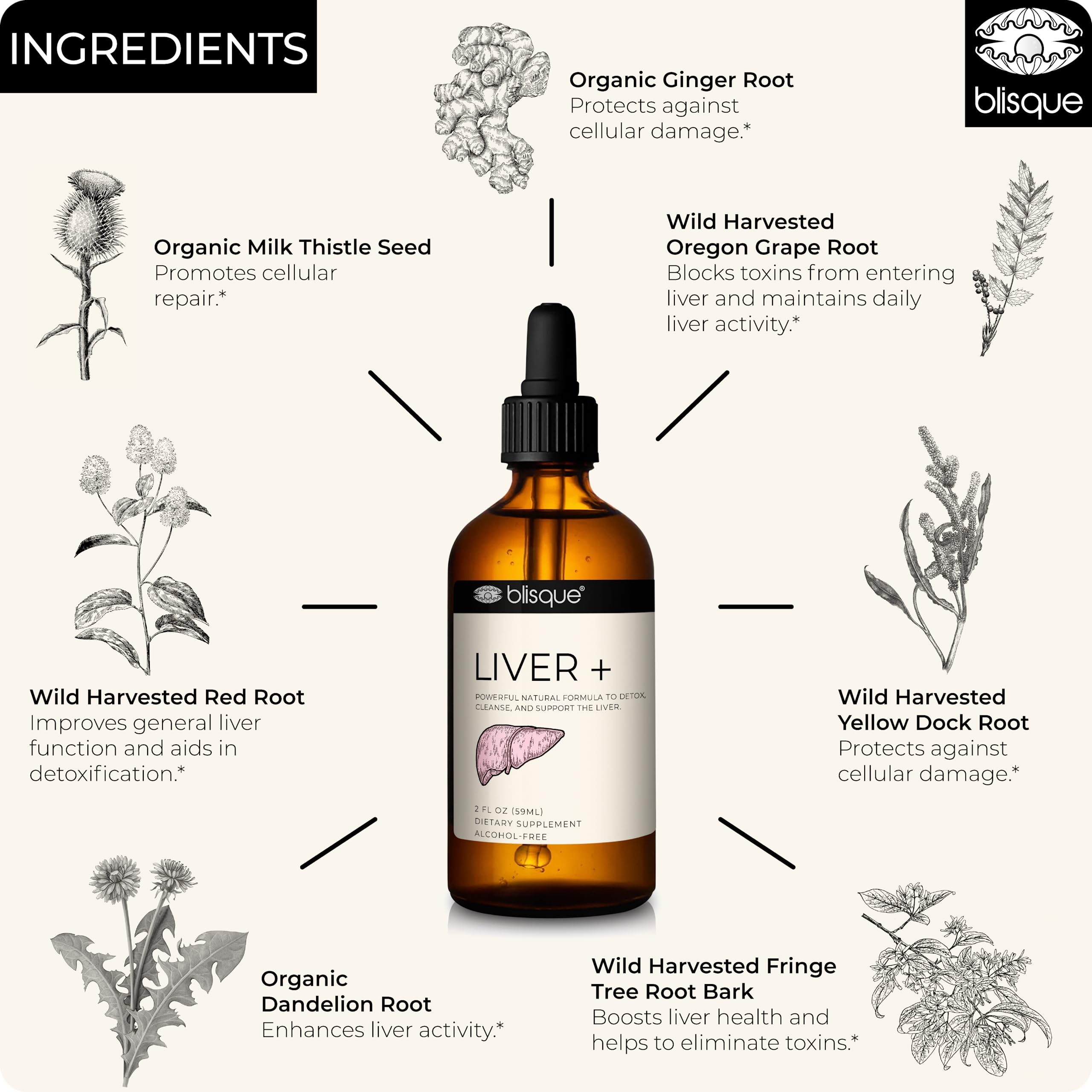 Foto 5 pulgar | Supplement Blisque Liver + Liver Complex Detox & Repair Aid - Venta Internacional.