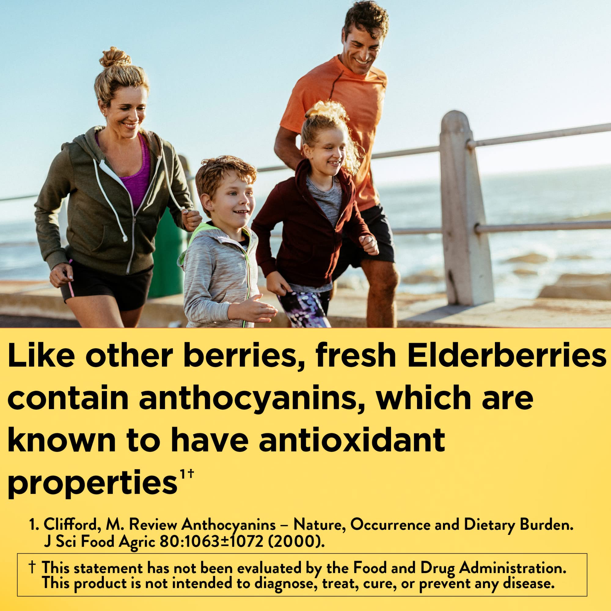 Foto 2 | Suplemento Dietético Nature Made Elderberry 400 Mg Con Vitamina C - Venta Internacional.
