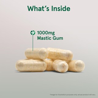 Foto 3 | Suplemento Jarrow Formulas Mastic Gum 1000 Mg 60 Cápsulas - Venta Internacional.