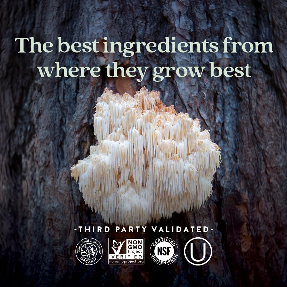 Foto 5 | Suplemento New Chapter Lion's Mane + Reishi Mushroom, 60 Unidades - Venta Internacional.