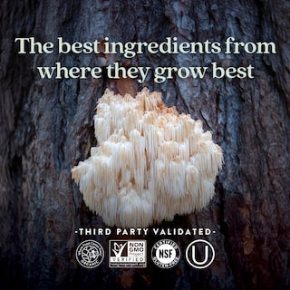 Foto 5 | Suplemento New Chapter Lion's Mane + Reishi Mushroom, 60 Unidades - Venta Internacional.