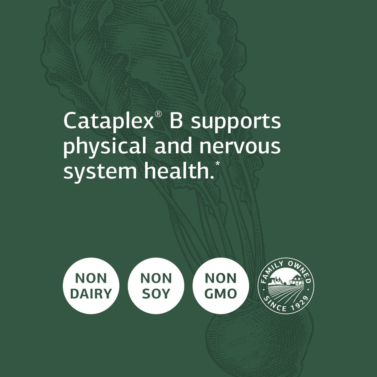 Foto 5 pulgar | Suplemento Standard Process Cataplex B 180 Comprimidos - Venta Internacional.