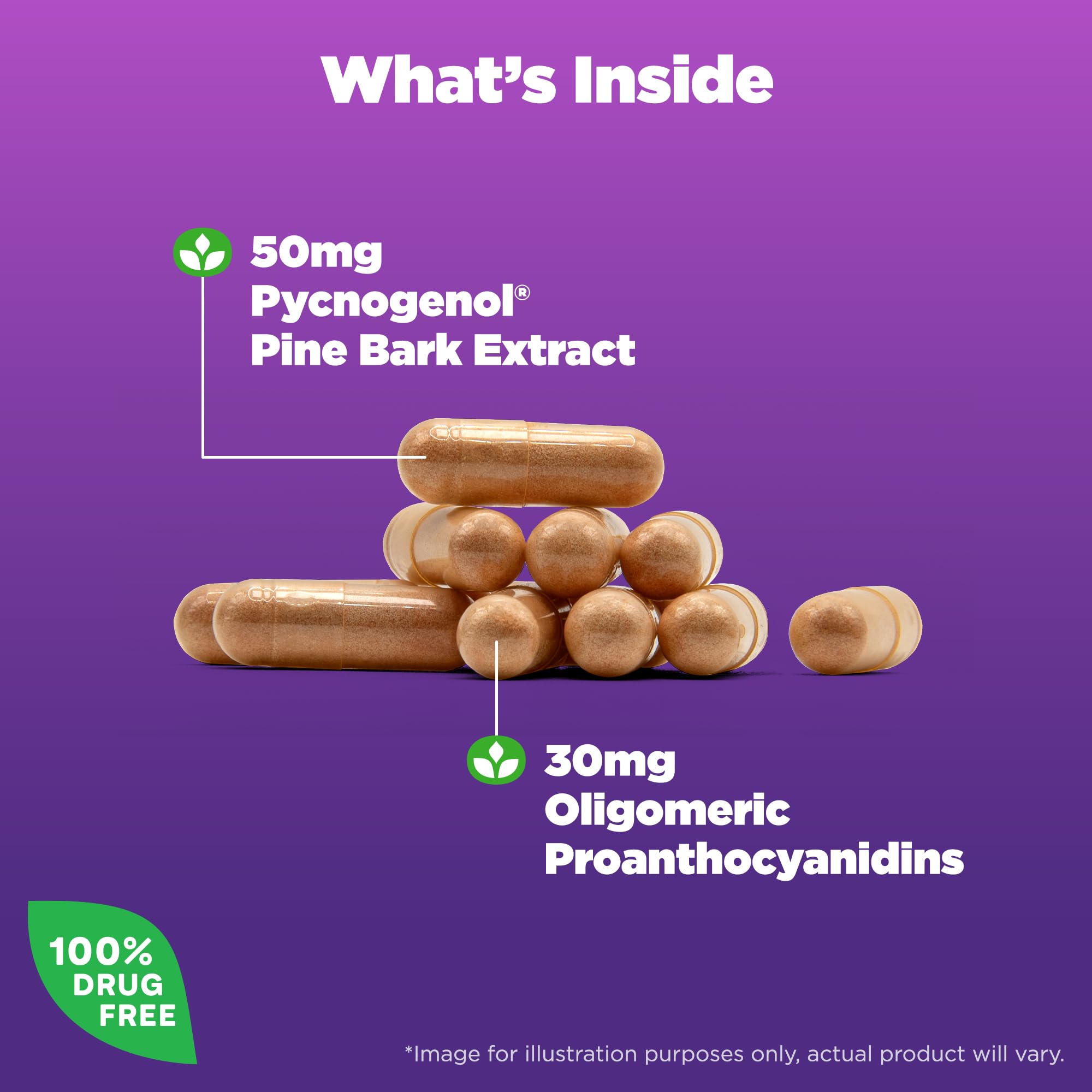 Foto 4 pulgar | Suplemento Natrol Pycnogenol En Cápsulas De 50 Mg, 60 Unidades - Venta Internacional.