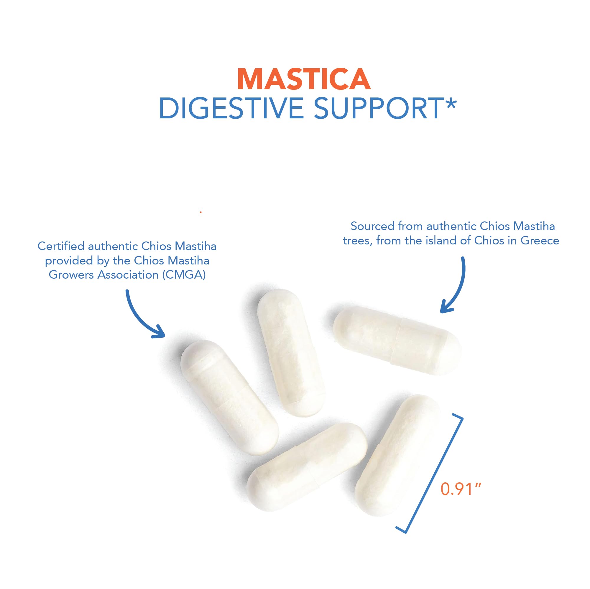 Foto 4 pulgar | Suplemento Dietético Allergy Research Group Mastica 240 Cápsulas - Venta Internacional.