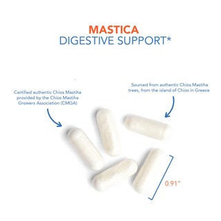 Foto 3 | Suplemento Dietético Allergy Research Group Mastica 240 Cápsulas - Venta Internacional.