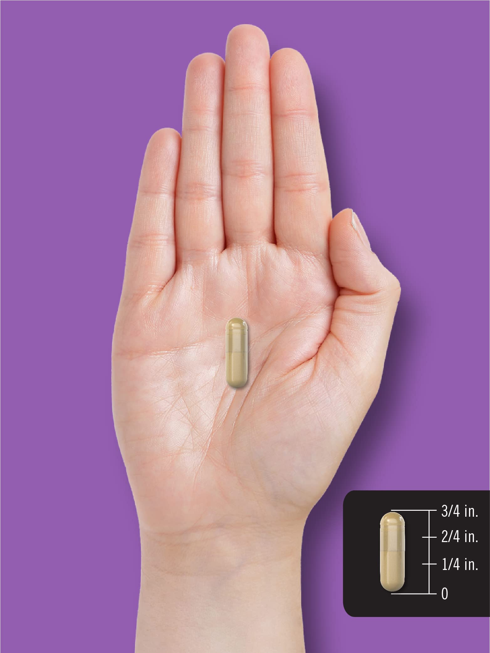 Foto 8 pulgar | Suplemento Carlyle Melatonin 10 Mg Con Ashwagandha 120 Cápsulas - Venta Internacional.