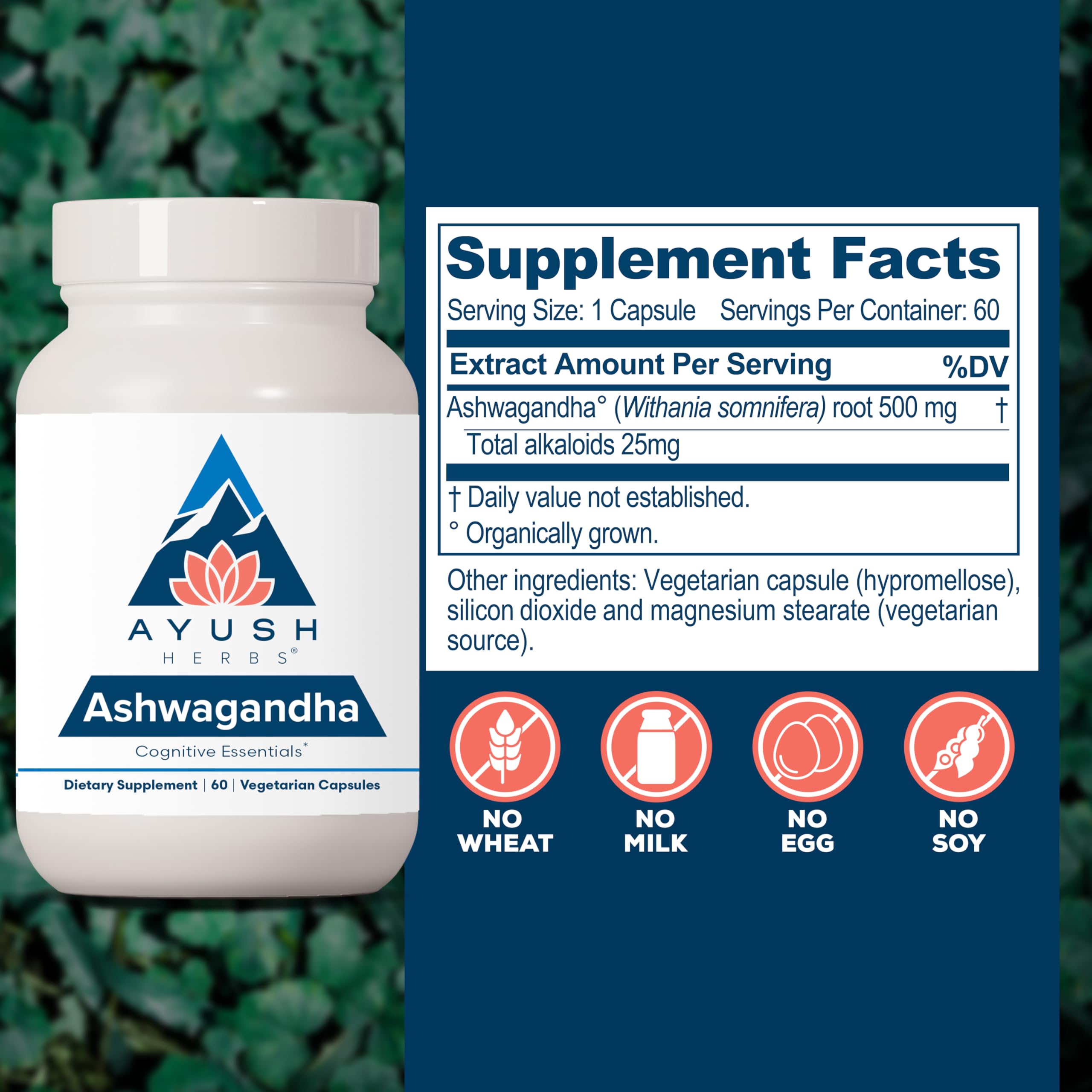 Foto 4 pulgar | Suplemento De Extracto De Raíz De Ashwagandha De Ayush Herbs, 500 Mg, 60 Cápsulas - Venta Internacional.