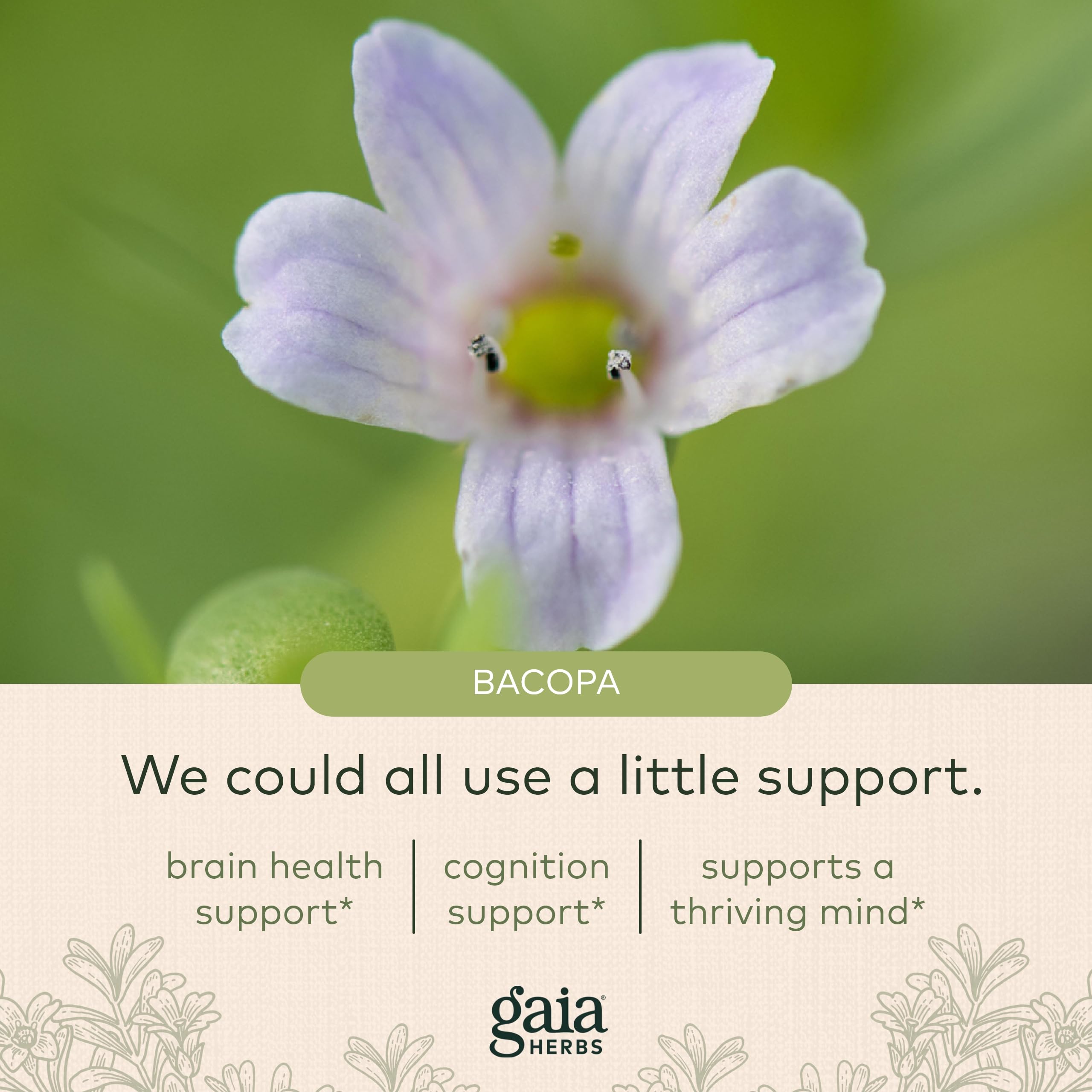 Foto 6 pulgar | Suplemento Gaia Herbs Bacopa Brain Support 60 Cápsulas Veganas - Venta Internacional.