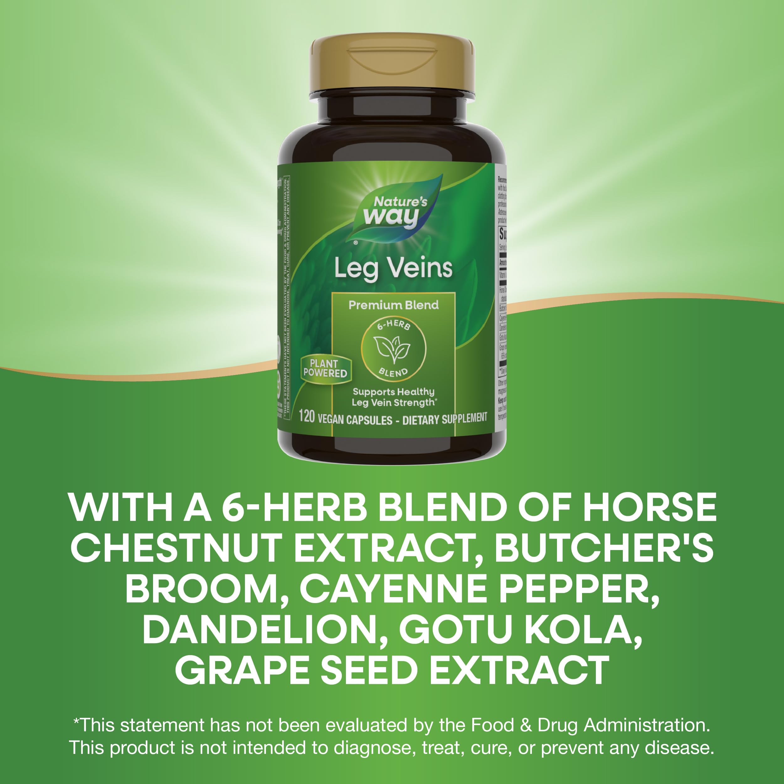 Foto 5 | Suplemento Nature's Way Leg Veins 120 Cápsulas Veganas - Venta Internacional.