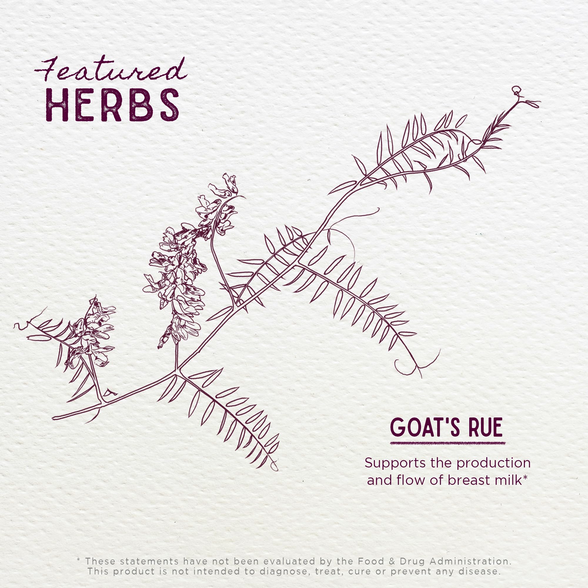 Foto 5 pulgar | Suplemento De Lactancia Wishgarden Herbs Goat's Rue 60 Ml - Venta Internacional.