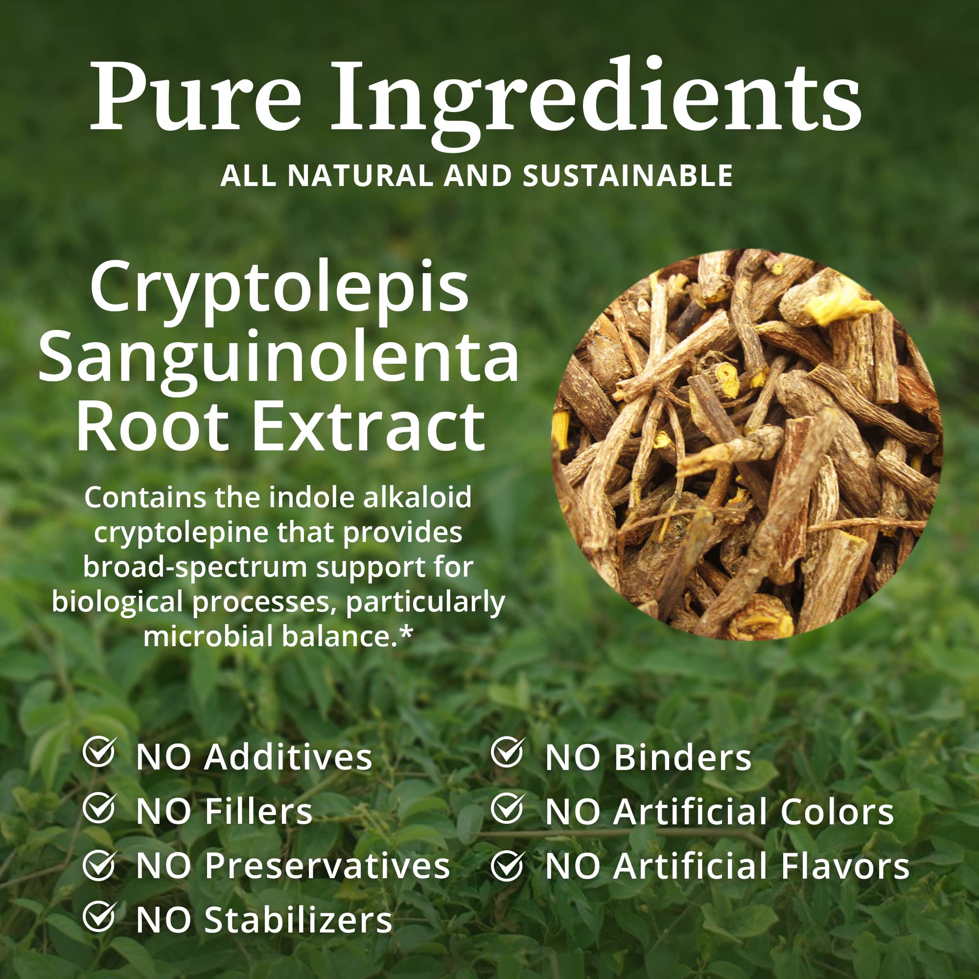 Foto 4 pulgar | Tintura De Hierbas Biopure Cryptolepis Sanguinolenta 120ml - Venta Internacional.