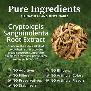 Foto 3 | Tintura De Hierbas Biopure Cryptolepis Sanguinolenta 120ml - Venta Internacional.