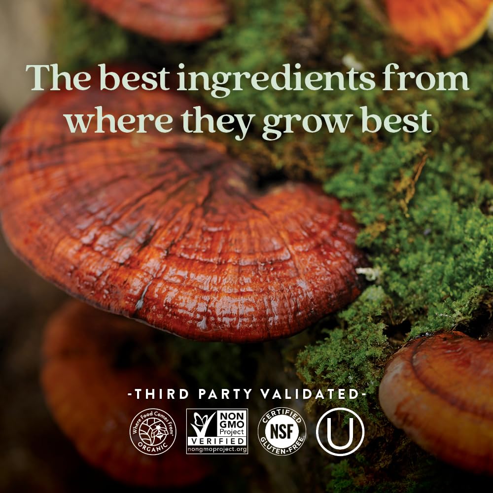 Foto 6 pulgar | Suplemento New Chapter Reishi Mushroom Lifeshield, 60 Unidades - Venta Internacional.