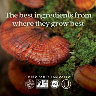 Foto 5 | Suplemento New Chapter Reishi Mushroom Lifeshield, 60 Unidades - Venta Internacional.
