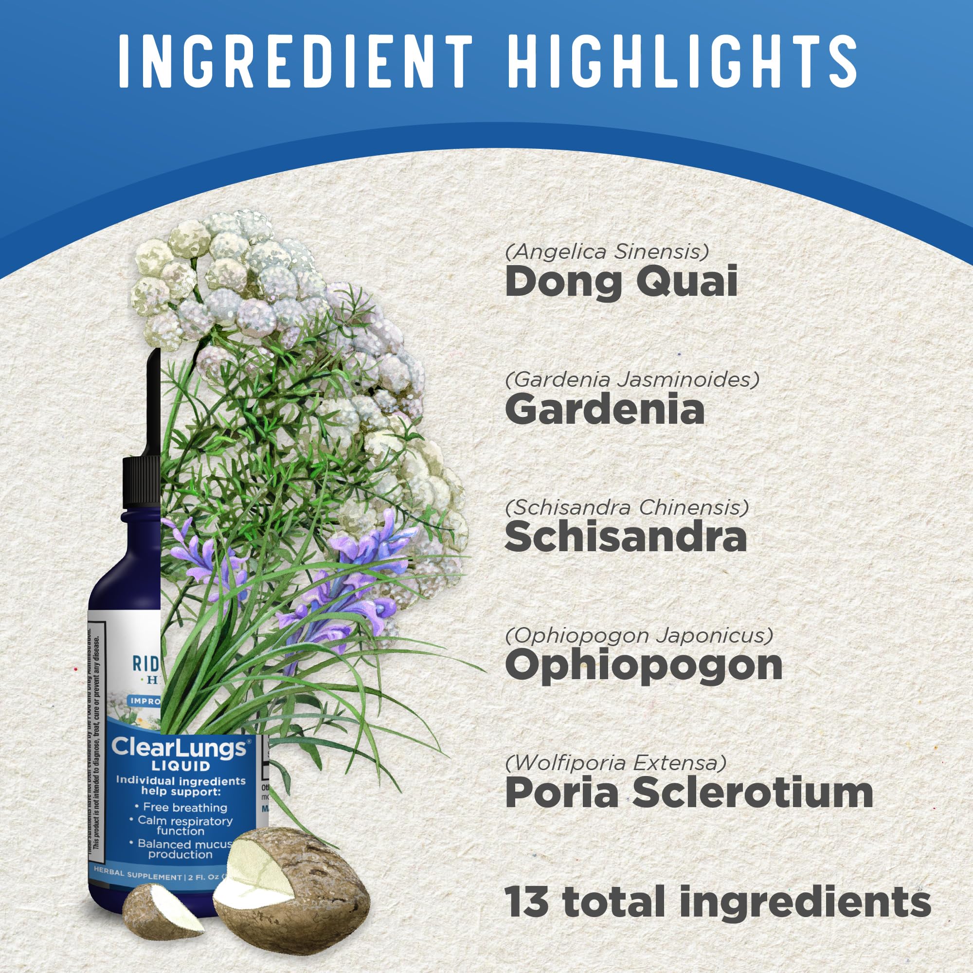 Foto 5 pulgar | Suplemento Ridgecrest Clearlungs Liquid Herbal, 60 Ml, Naranja - Venta Internacional.