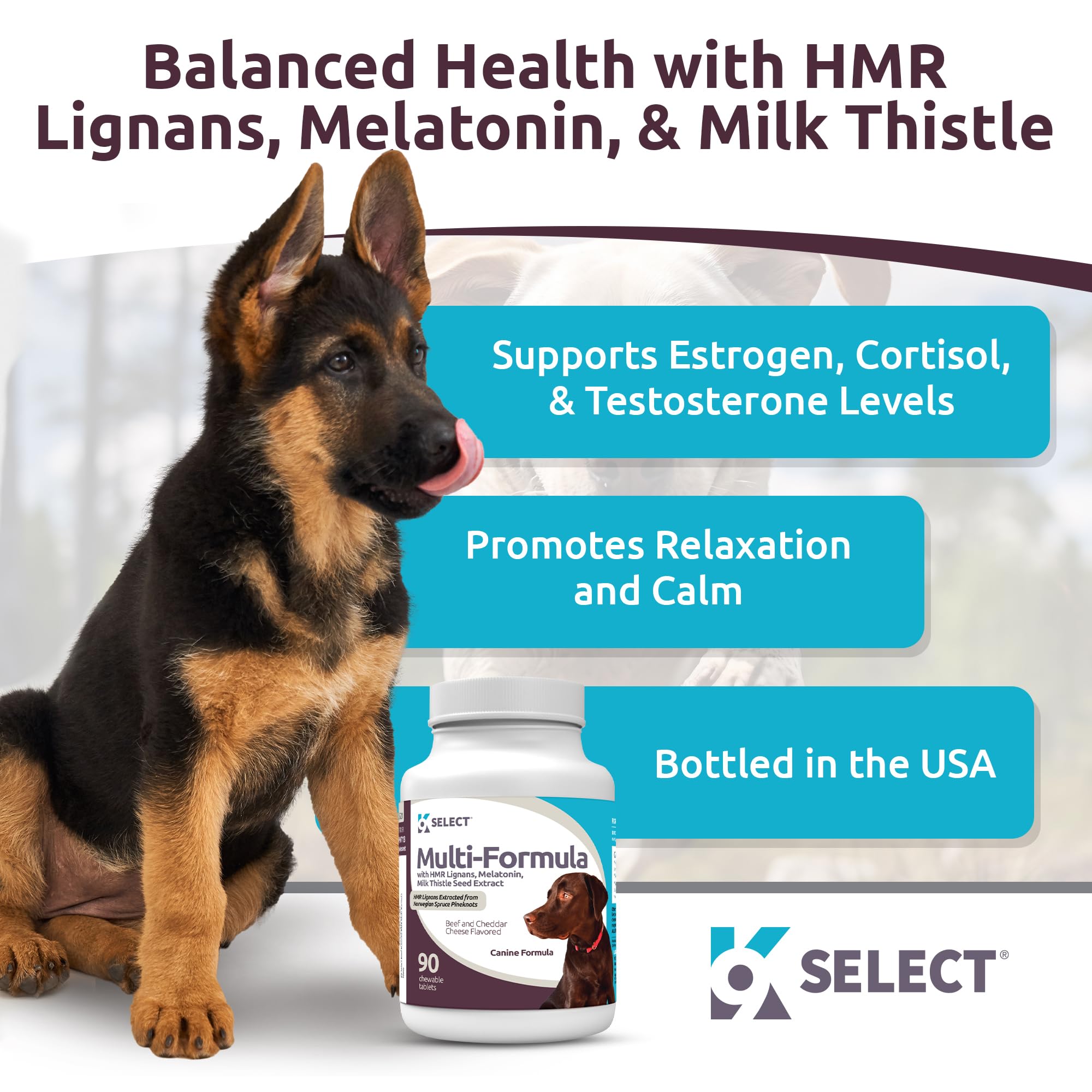 Foto 2 | Dog Vitamins K9 Select, Fórmula Múltiple Para Perros Grandes, 90 Comprimidos - Venta Internacional.