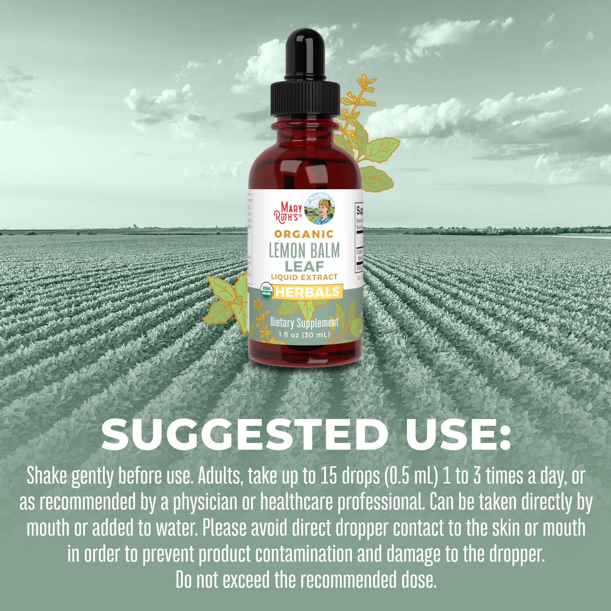 Foto 7 pulgar | Suplemento Maryruth's Lemon Balm Leaf, 30 Ml, Vegano, Sin Ogm - Venta Internacional.