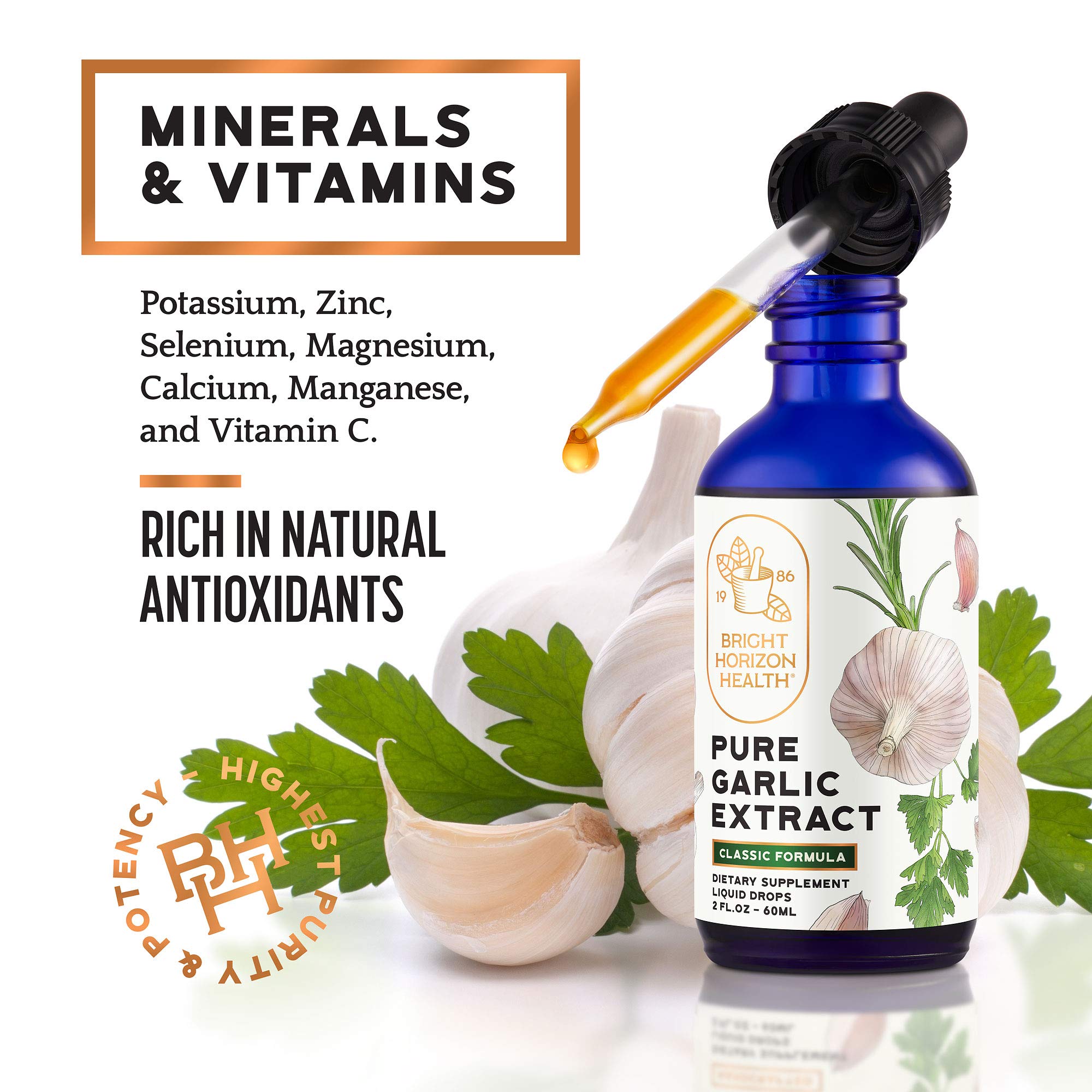 Foto 5 | Suplemento Extracto de Ajo Bright Horizon Health 60 Ml - Venta Internacional
