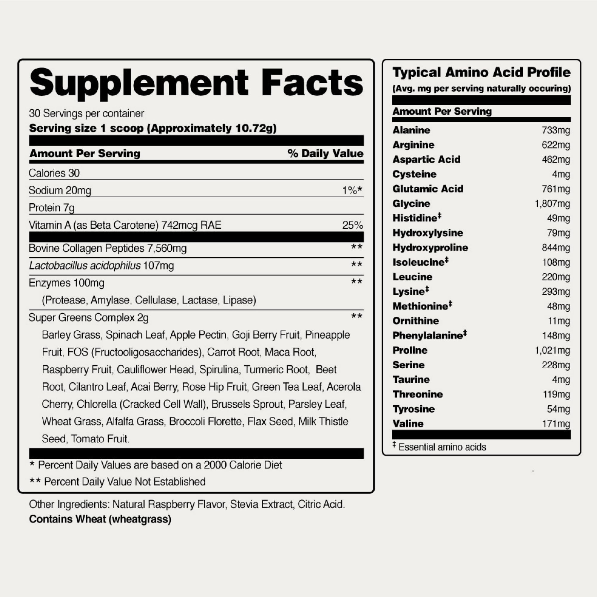 Foto 7 pulgar | Suplementos Snap Supplements Super Greens en Polvo con Colágeno - Venta Internacional