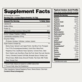 Foto 6 | Suplementos Snap Supplements Super Greens en Polvo con Colágeno - Venta Internacional