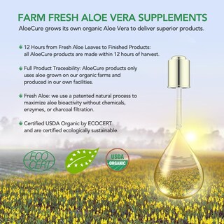 Foto 6 | Suplemento Aloecure de Aloe Vera Orgánico 30 Cápsulas - Venta Internacional